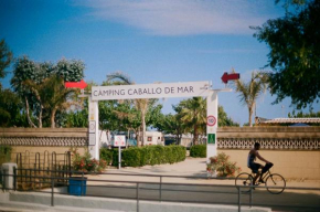 Camping Sènia Caballo de Mar